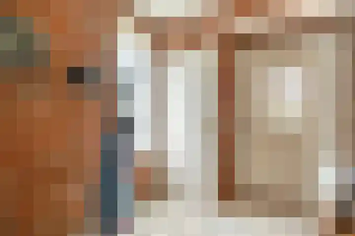 Wanroijseweg 59 Mill thumbnail 14