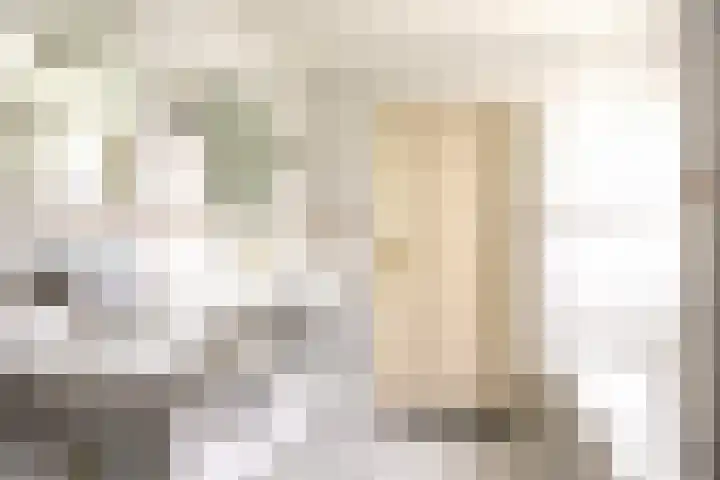 Wanroijseweg 59 Mill thumbnail 22