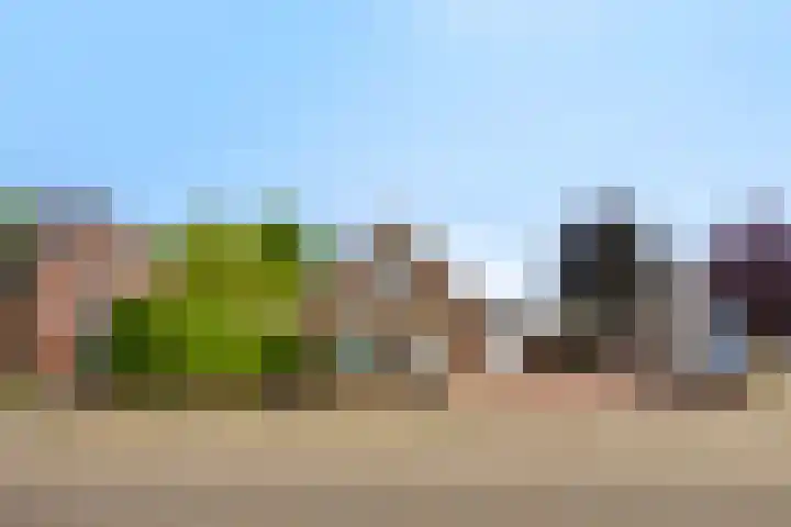 Wanroijseweg 59 Mill thumbnail 23