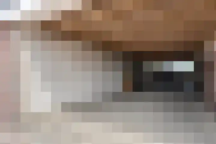 Wanroijseweg 59 Mill thumbnail 24
