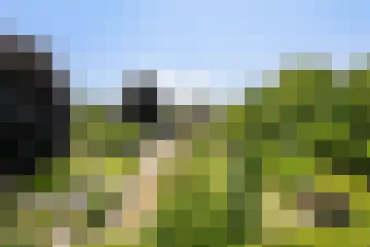 Wanroijseweg 59 Mill thumbnail 27