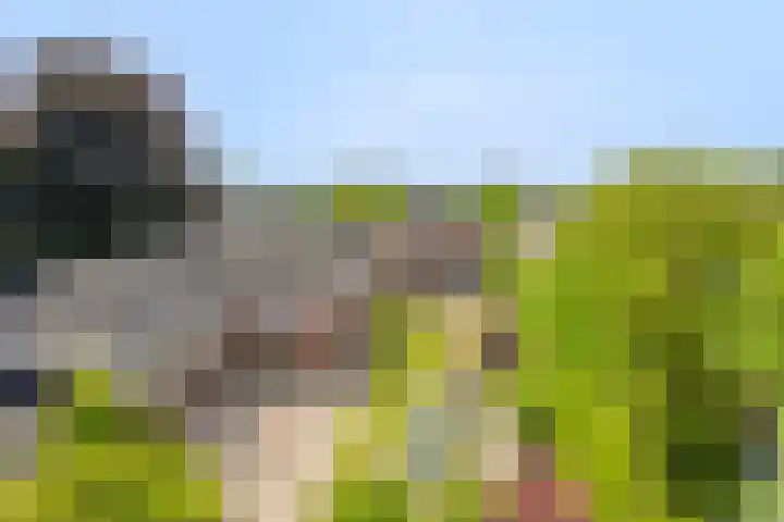 Wanroijseweg 59 Mill thumbnail 28