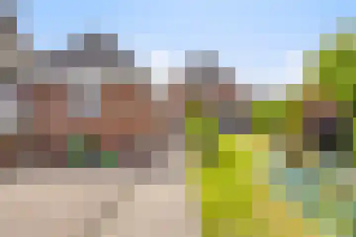 Wanroijseweg 59 Mill thumbnail 29