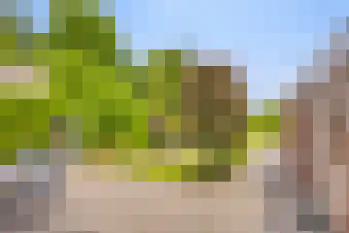 Wanroijseweg 59 Mill thumbnail 30