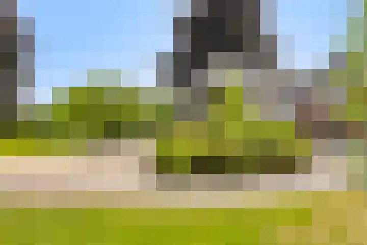 Wanroijseweg 59 Mill thumbnail 31