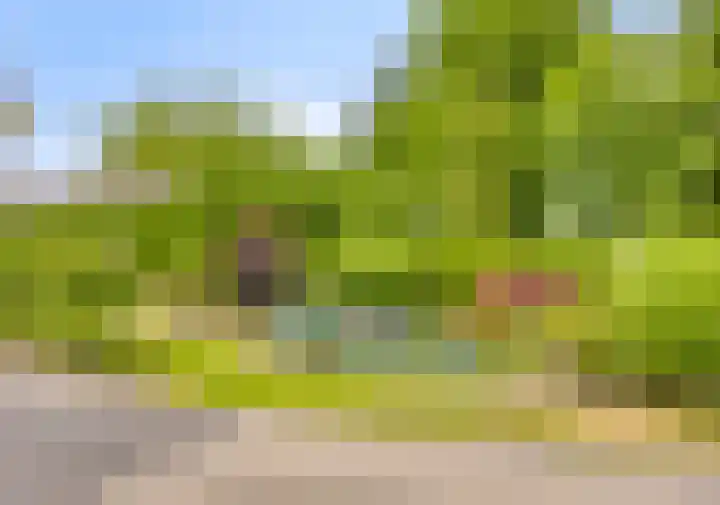 Wanroijseweg 59 Mill thumbnail 32