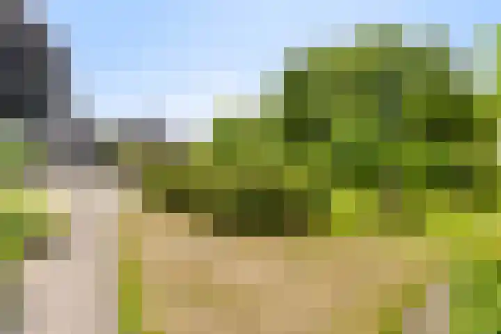 Wanroijseweg 59 Mill thumbnail 33