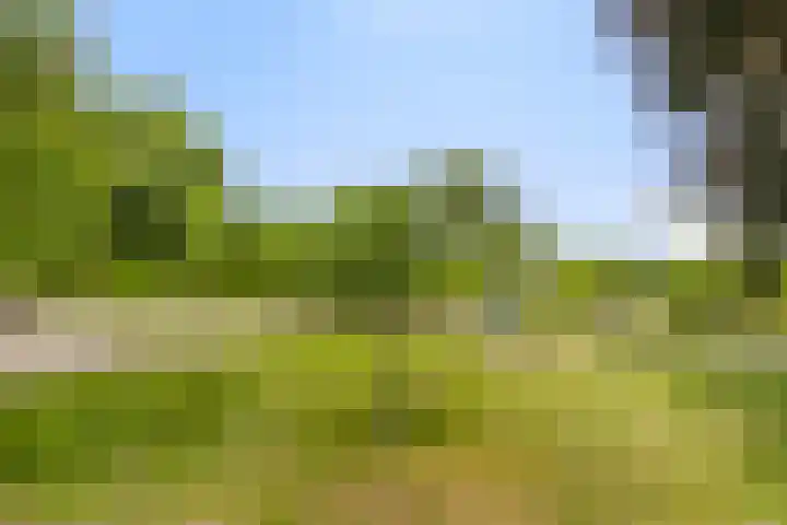 Wanroijseweg 59 Mill thumbnail 34
