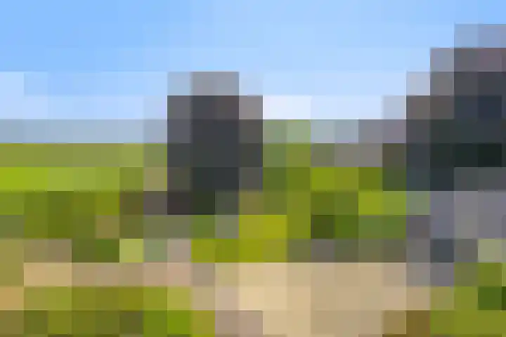 Wanroijseweg 59 Mill thumbnail 35