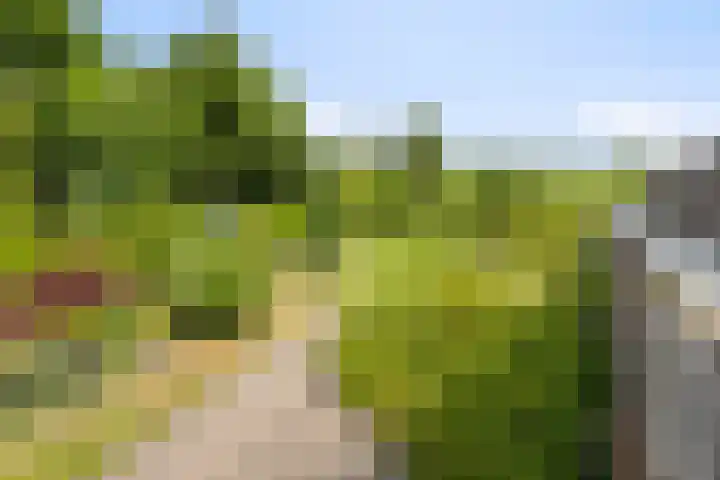 Wanroijseweg 59 Mill thumbnail 36
