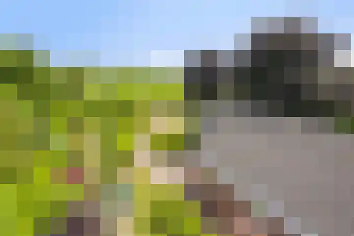 Wanroijseweg 59 Mill thumbnail 37