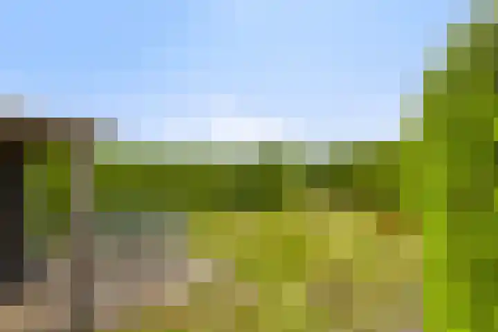 Wanroijseweg 59 Mill thumbnail 39