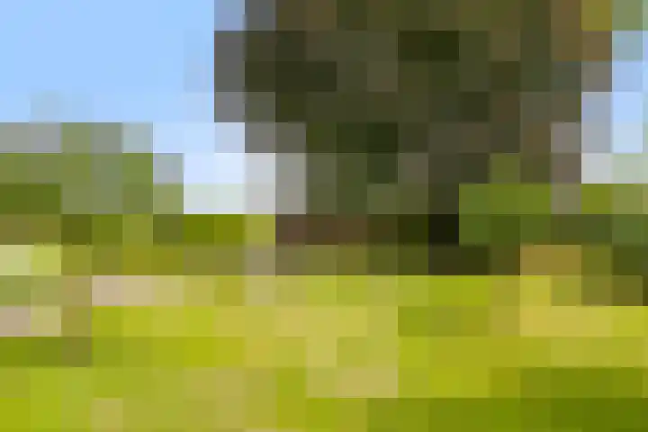Wanroijseweg 59 Mill thumbnail 4