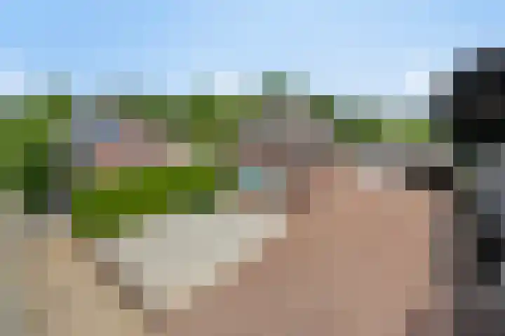 Wanroijseweg 59 Mill thumbnail 40