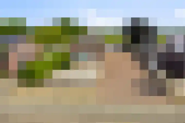 Wanroijseweg 59 Mill thumbnail 41