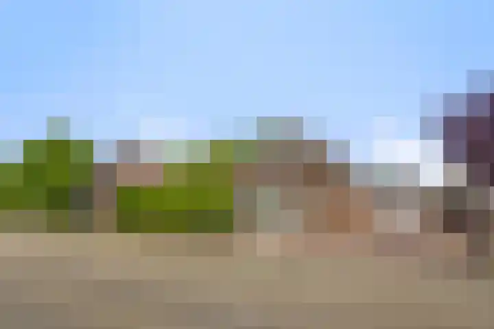 Wanroijseweg 59 Mill thumbnail 42