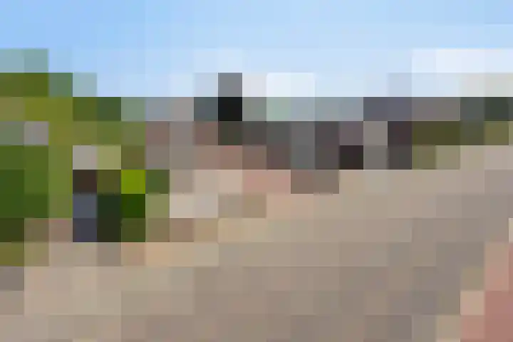 Wanroijseweg 59 Mill thumbnail 45