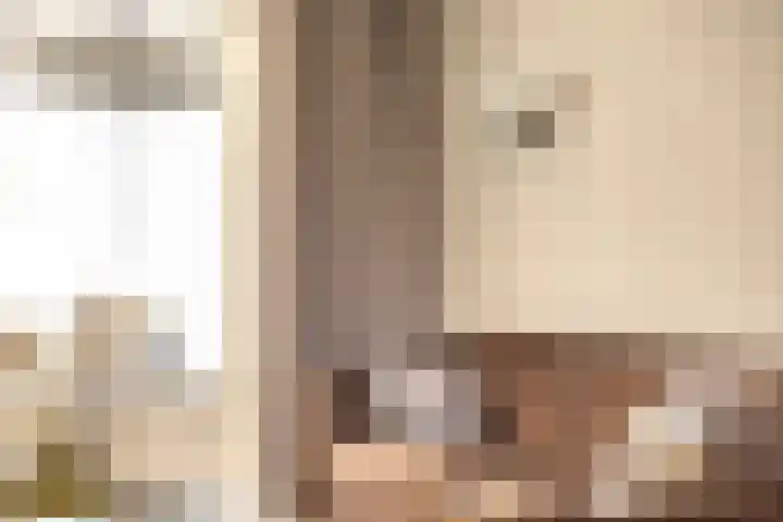 Wanroijseweg 59 Mill thumbnail 6