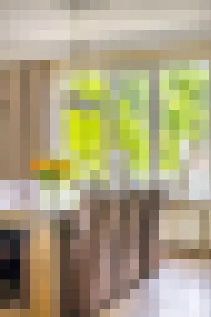 Wanroijseweg 59 Mill thumbnail 9