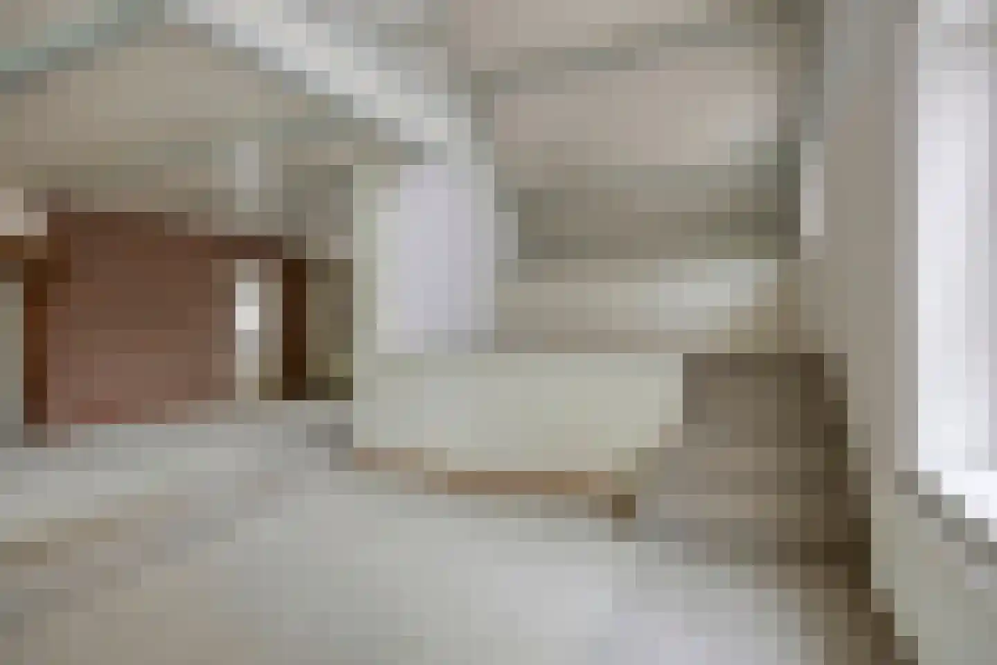 Wanroijseweg 6 Boekel thumbnail 13