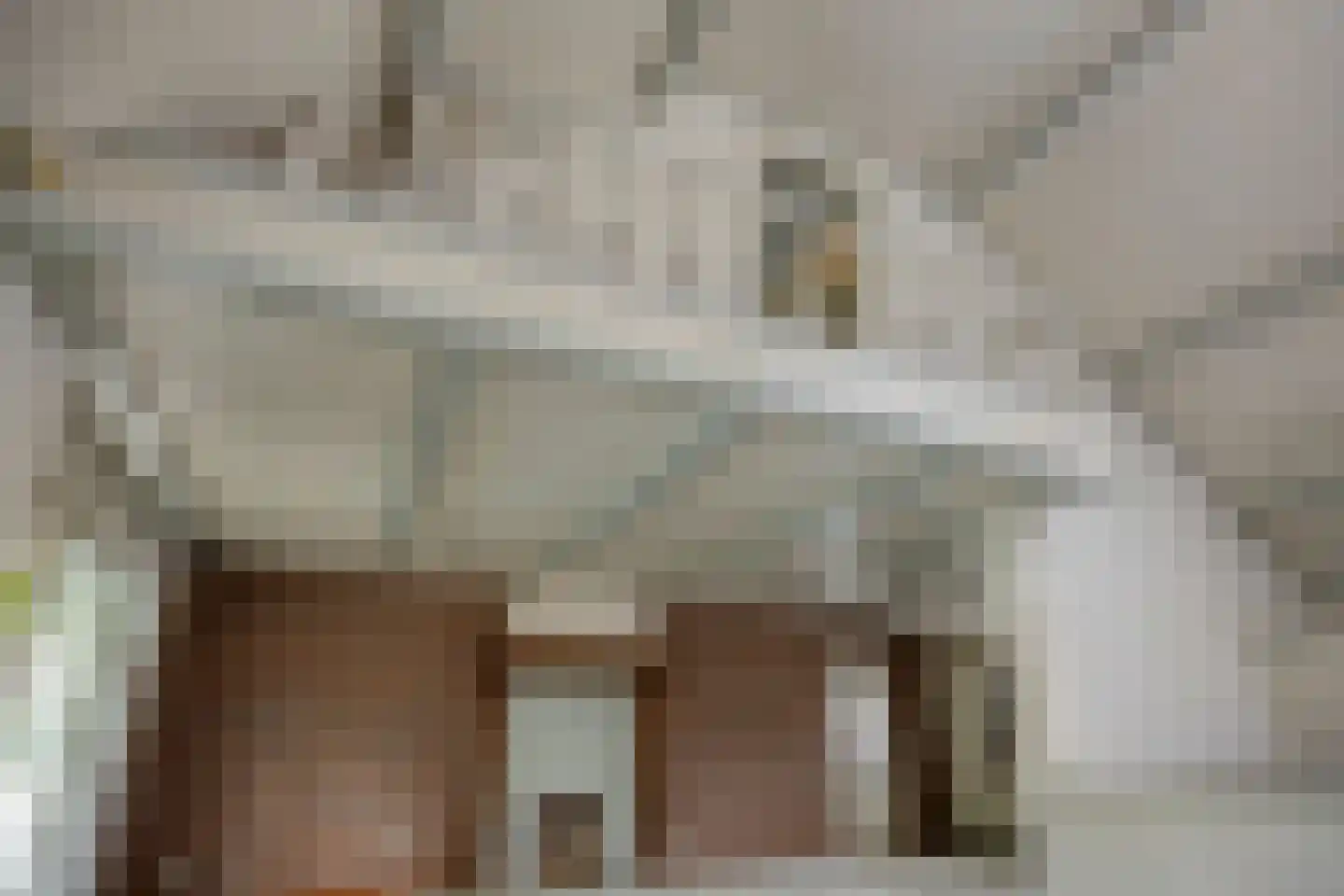 Wanroijseweg 6 Boekel thumbnail 14