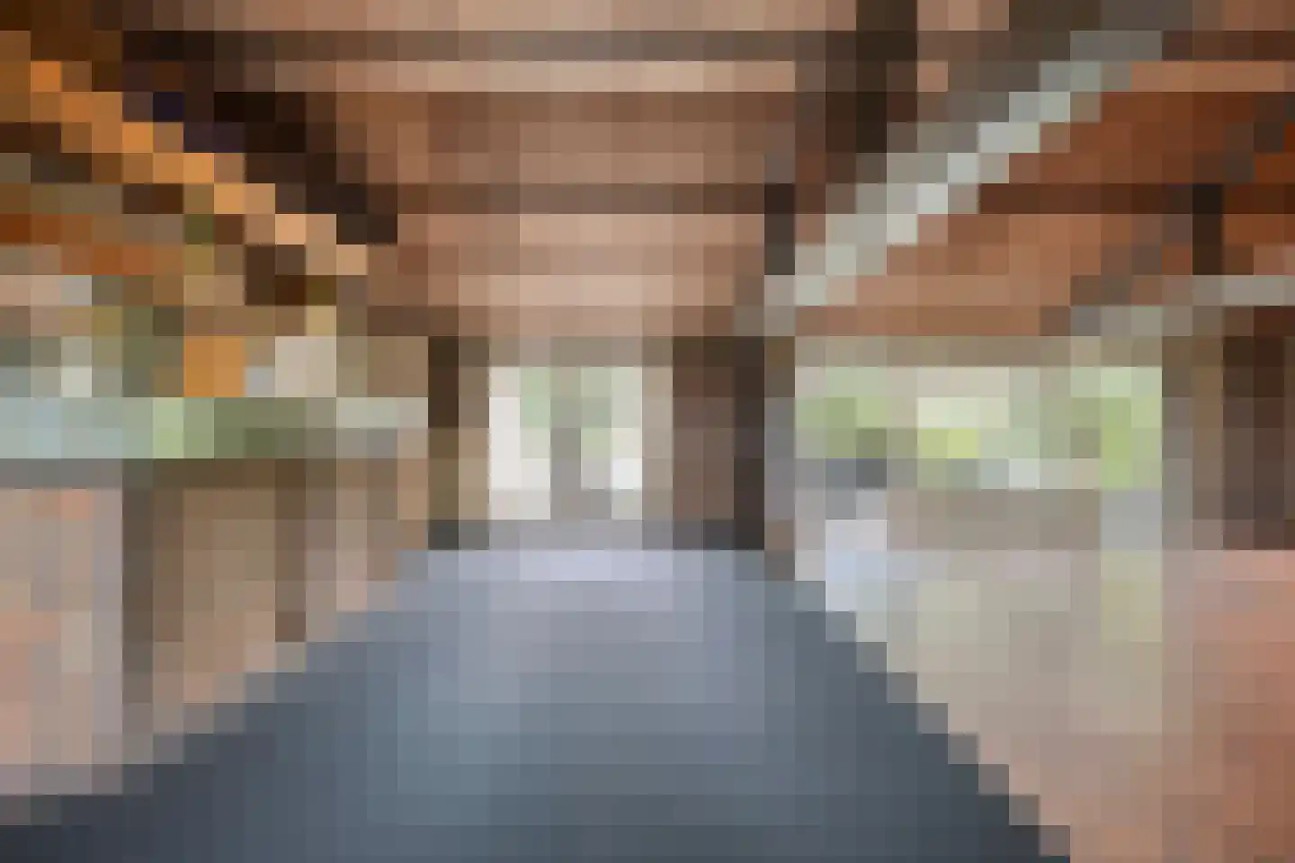 Wanroijseweg 6 Boekel thumbnail 29