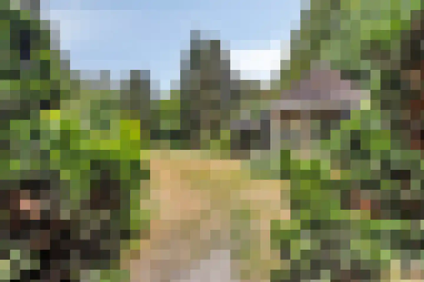 Wanroijseweg 6 Boekel thumbnail 31