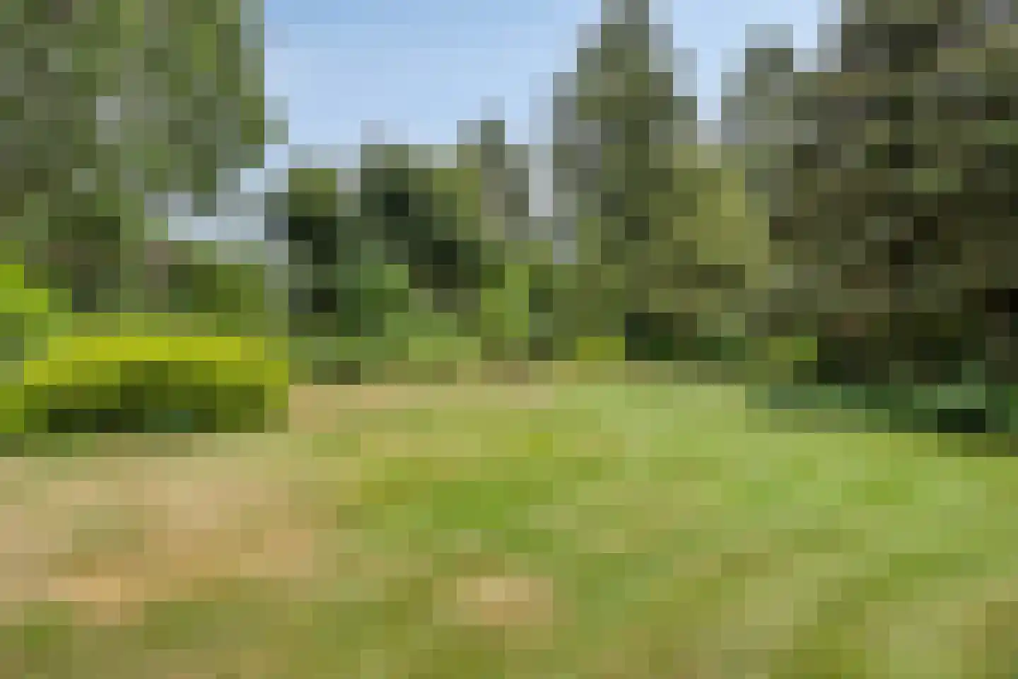 Wanroijseweg 6 Boekel thumbnail 32