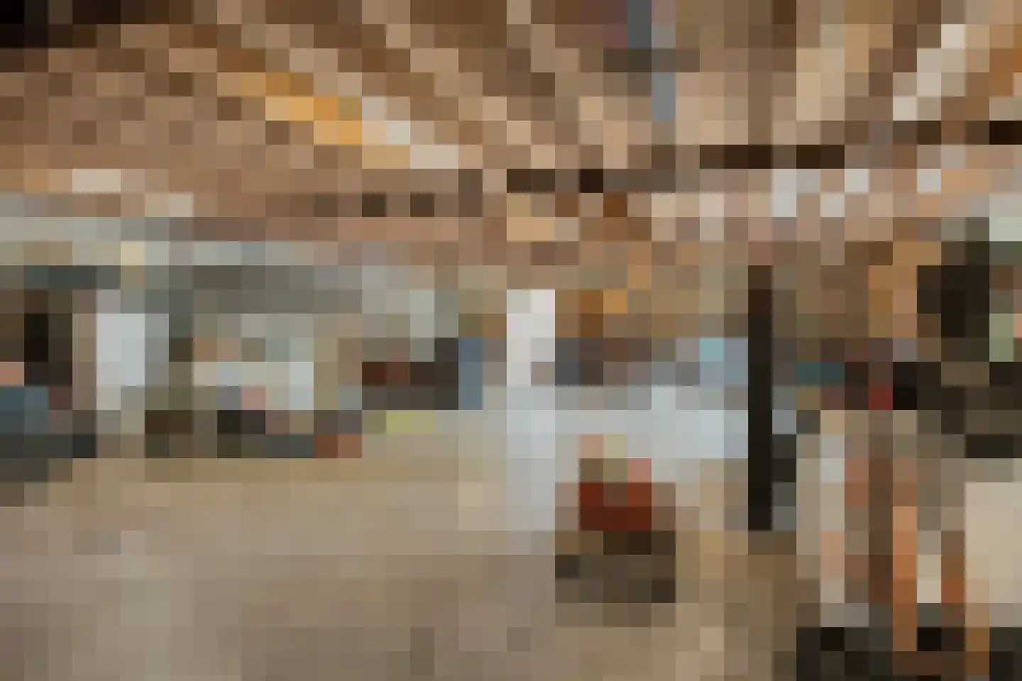 Wanroijseweg 6 Boekel thumbnail 46