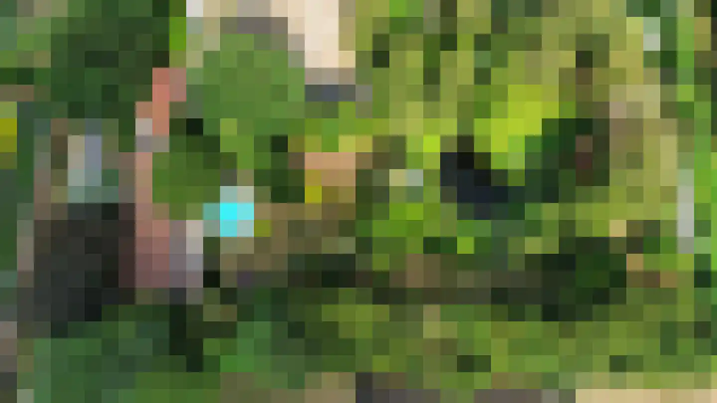 Wanroijseweg 6 Boekel thumbnail 47