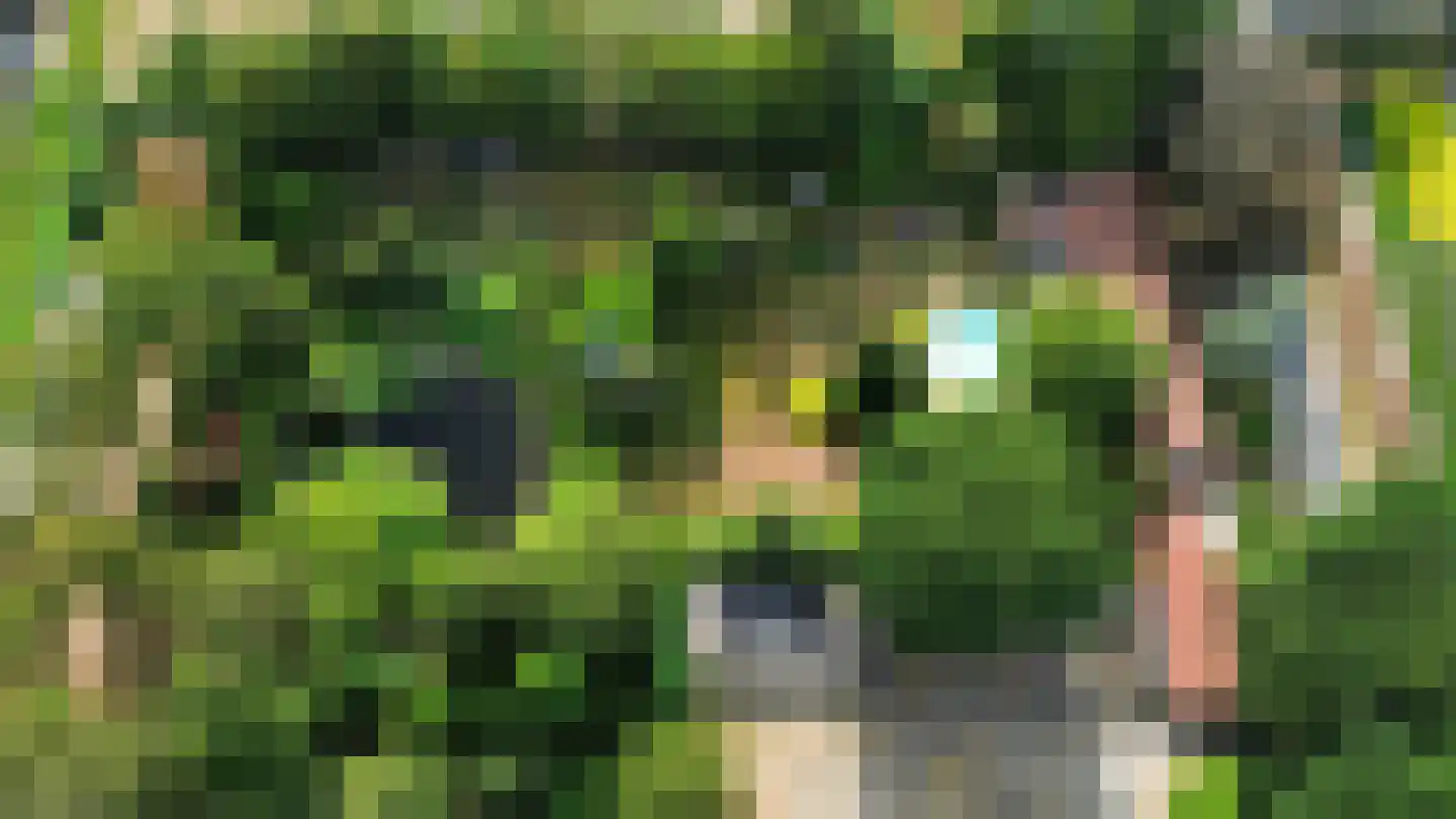 Wanroijseweg 6 Boekel thumbnail 5