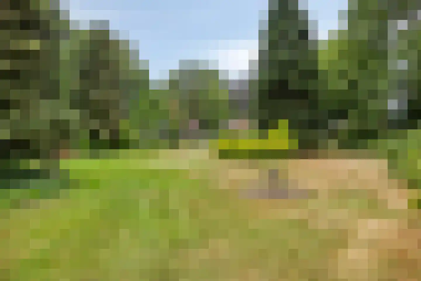 Wanroijseweg 6 Boekel thumbnail 55