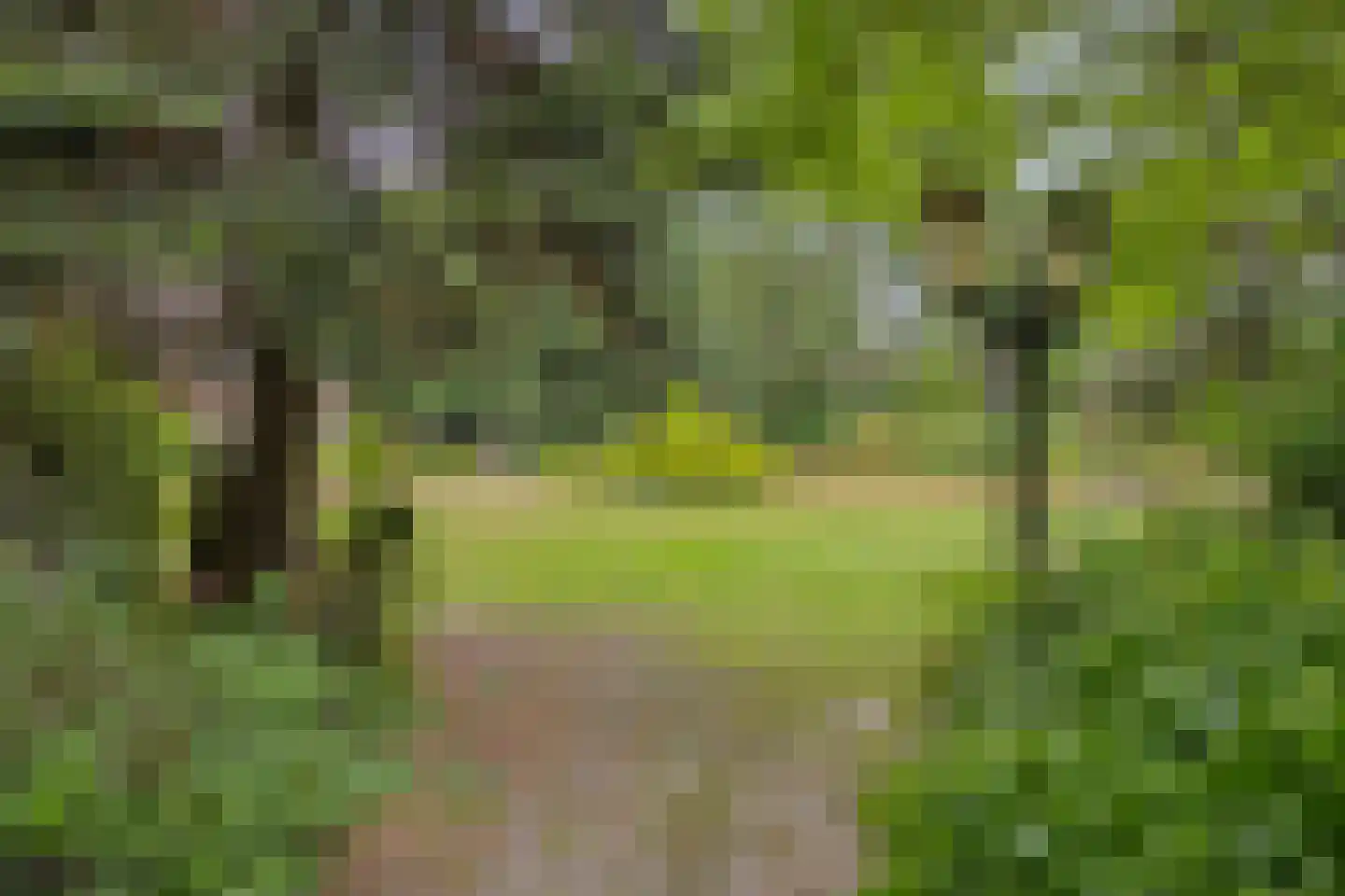 Wanroijseweg 6 Boekel thumbnail 57