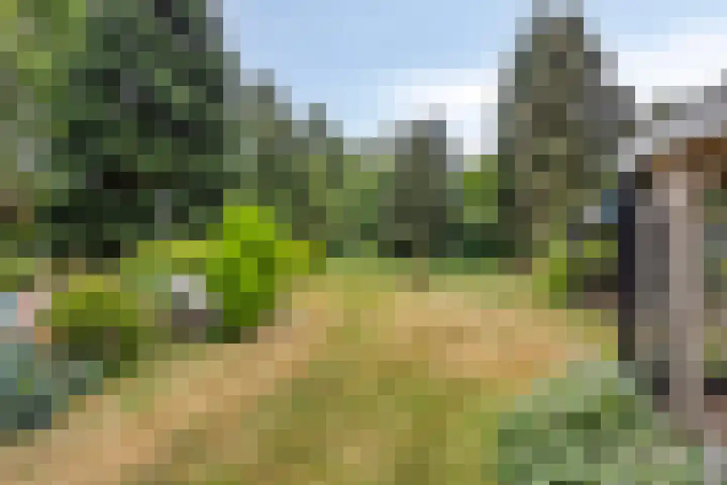Wanroijseweg 6 Boekel thumbnail 58
