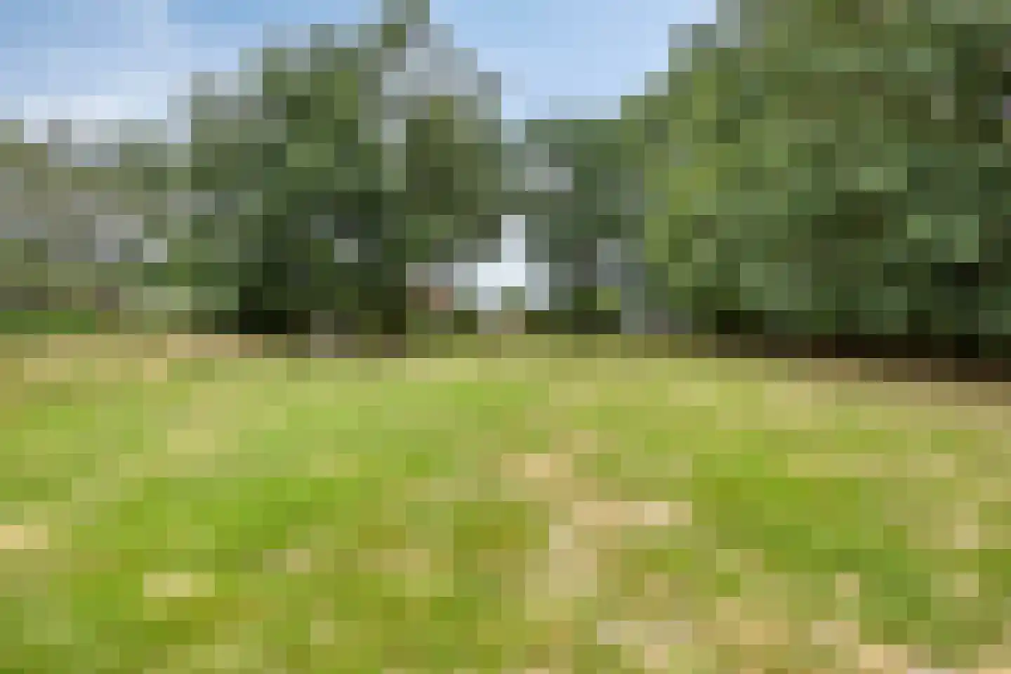 Wanroijseweg 6 Boekel thumbnail 60