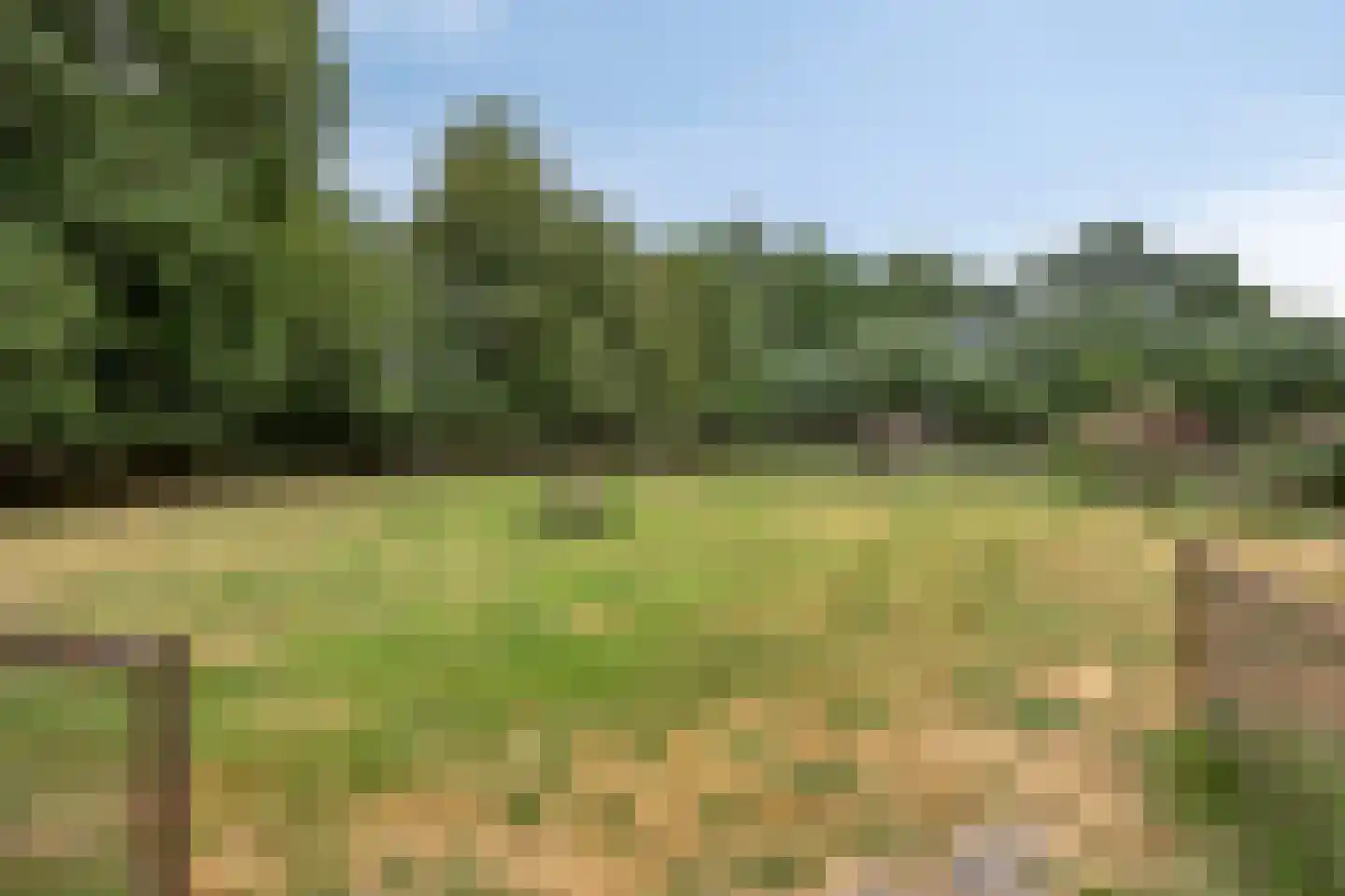 Wanroijseweg 6 Boekel thumbnail 61
