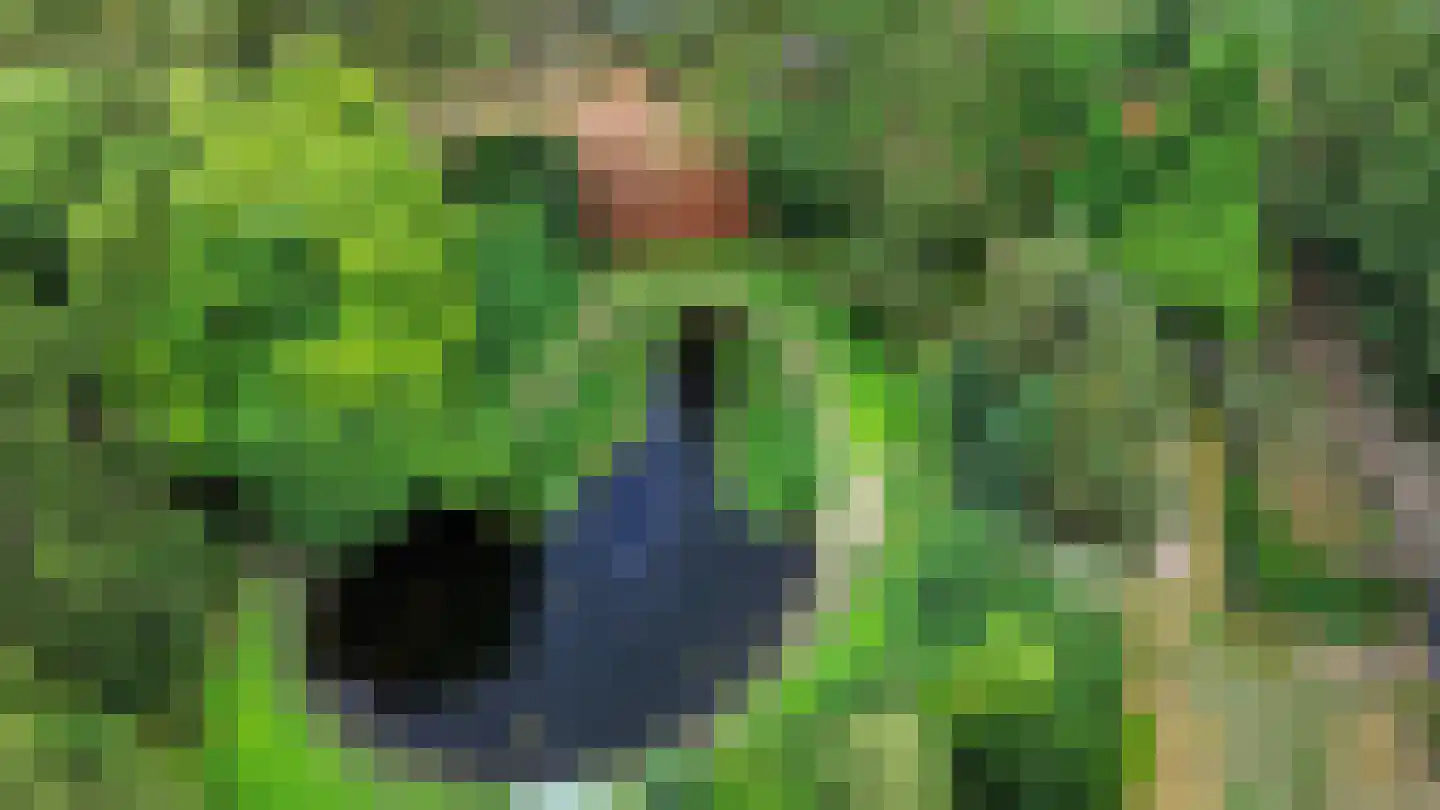 Wanroijseweg 6 Boekel thumbnail 62