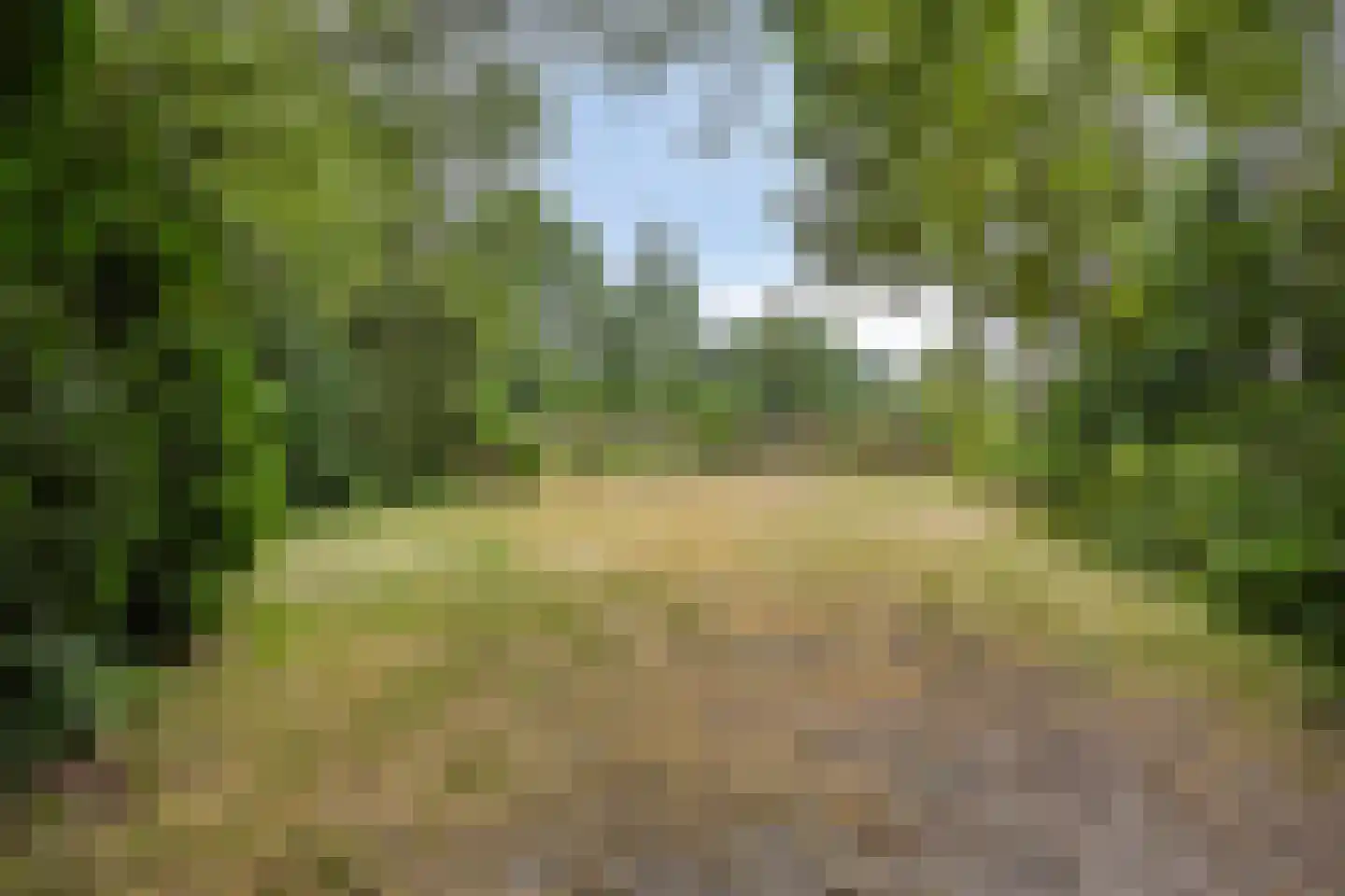Wanroijseweg 6 Boekel thumbnail 63