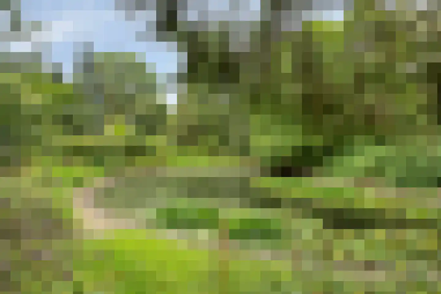 Wanroijseweg 6 Boekel thumbnail 64