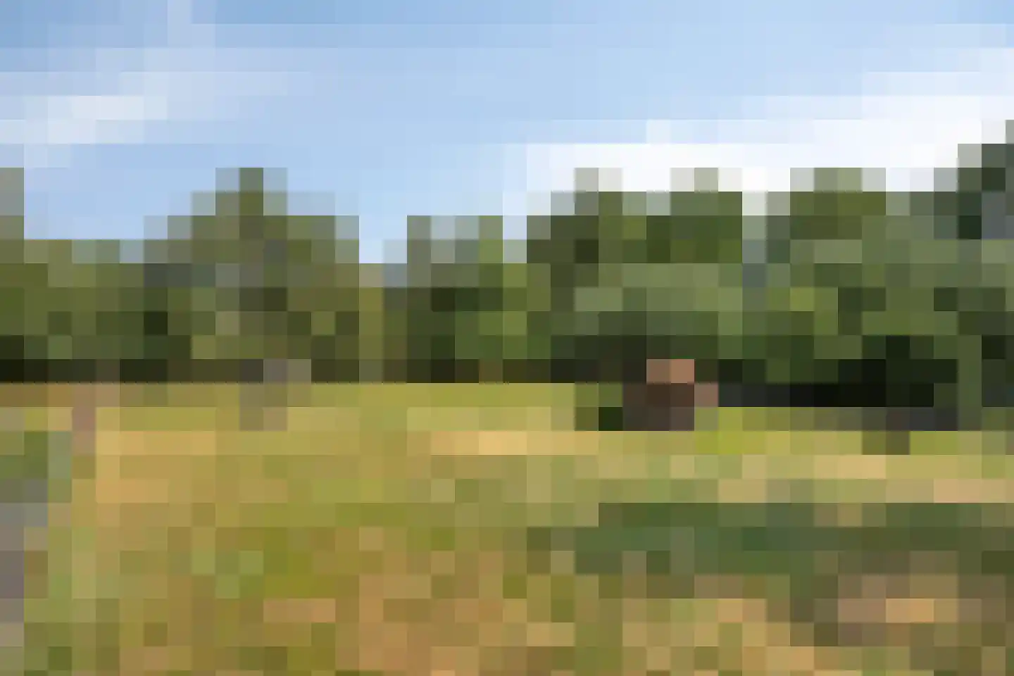 Wanroijseweg 6 Boekel thumbnail 65