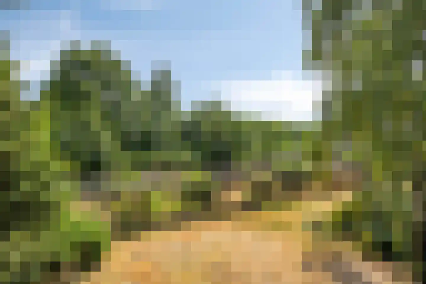 Wanroijseweg 6 Boekel thumbnail 66