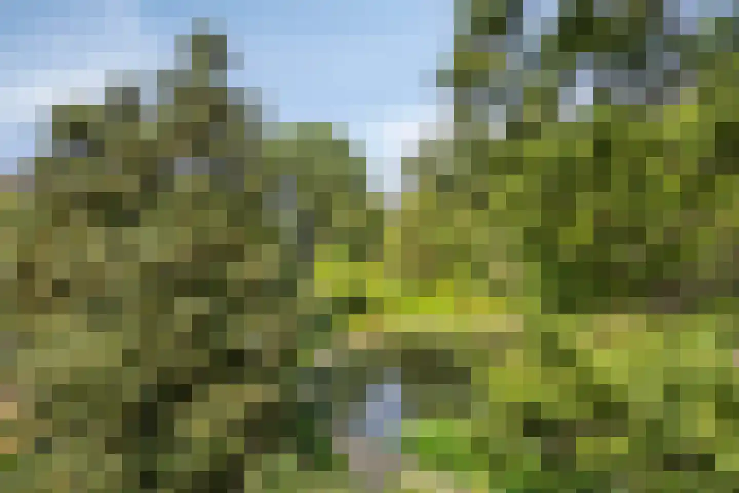 Wanroijseweg 6 Boekel thumbnail 67