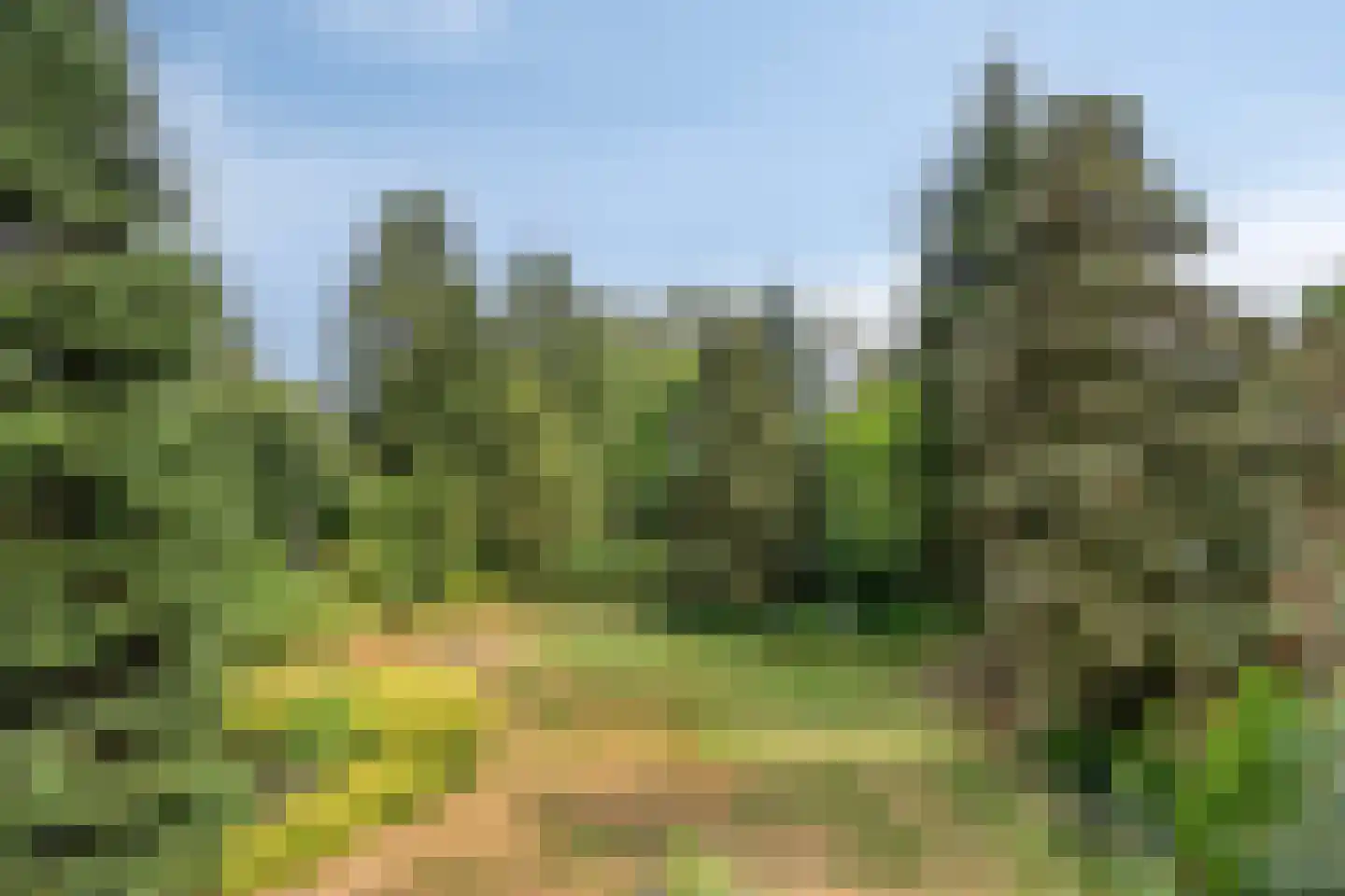 Wanroijseweg 6 Boekel thumbnail 68