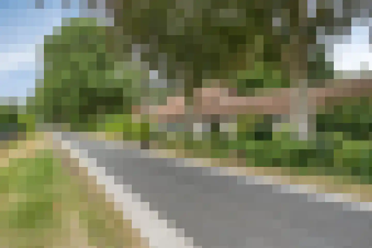 Wanroijseweg 6 Boekel thumbnail 69