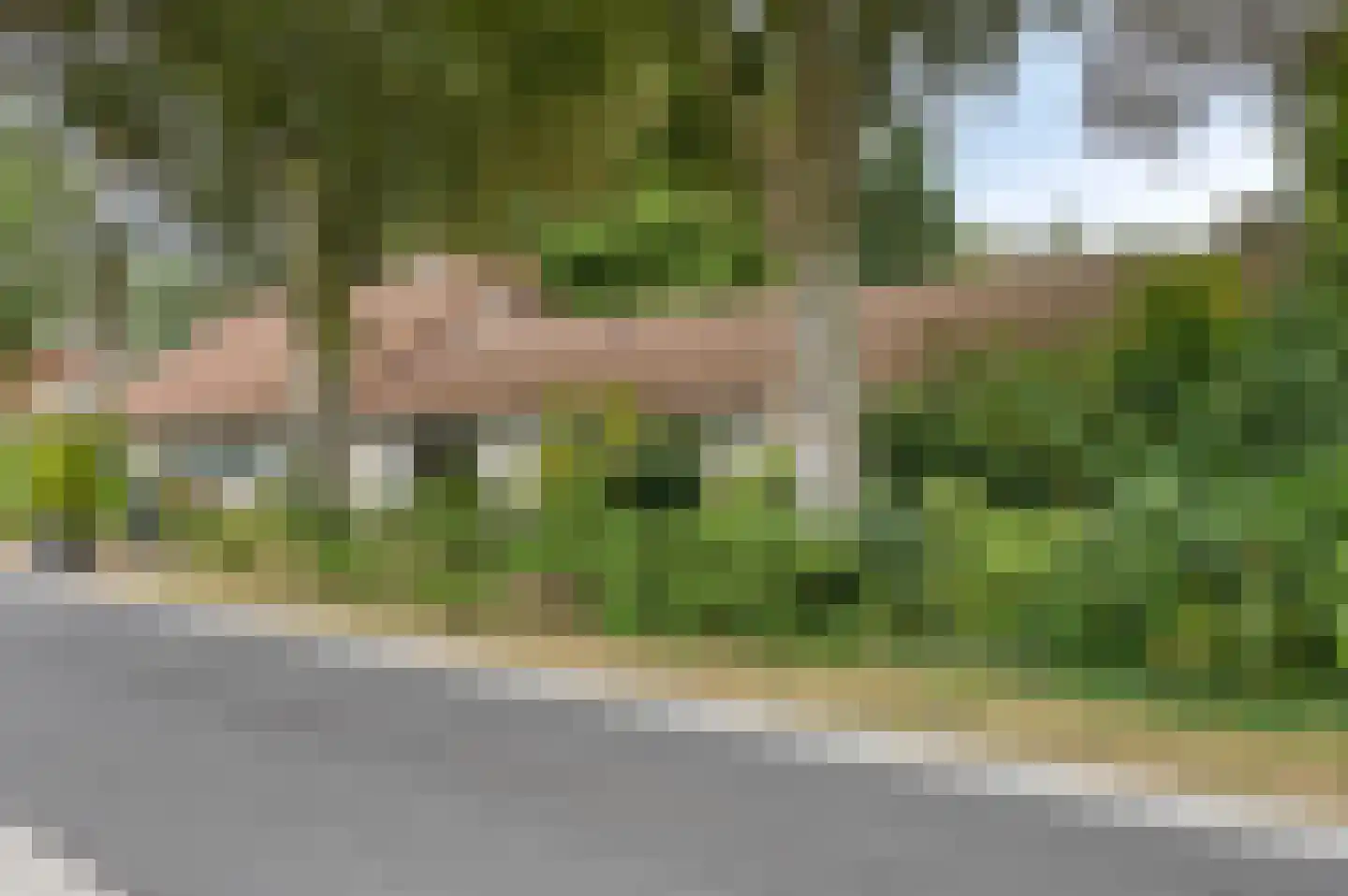 Wanroijseweg 6 Boekel thumbnail 7