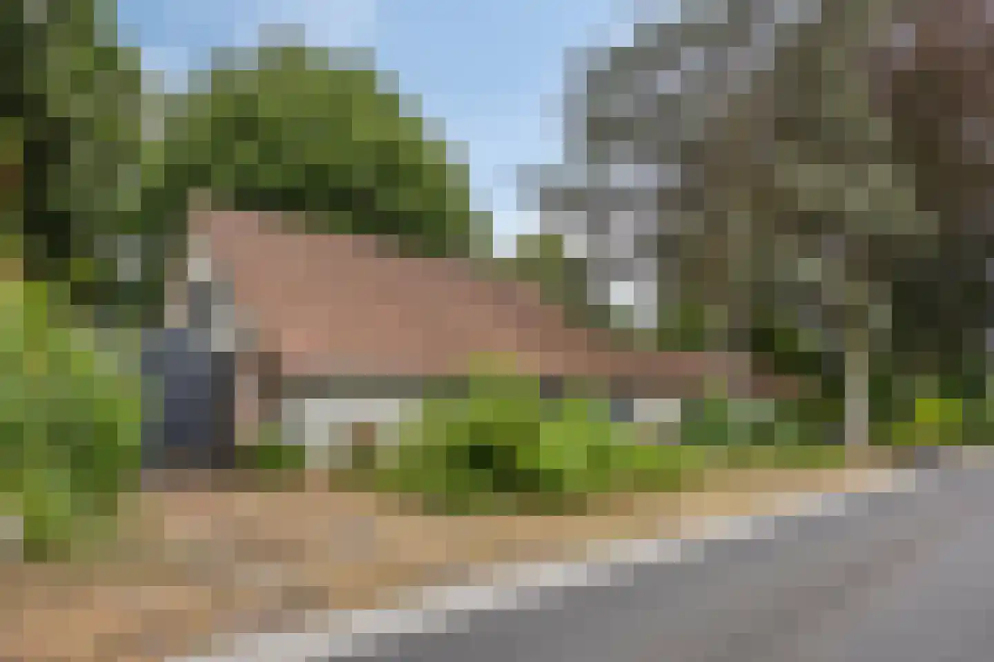 Wanroijseweg 6 Boekel thumbnail 70