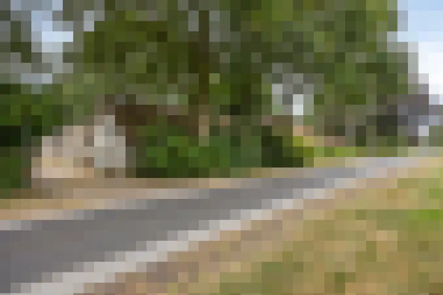 Wanroijseweg 6 Boekel thumbnail 71