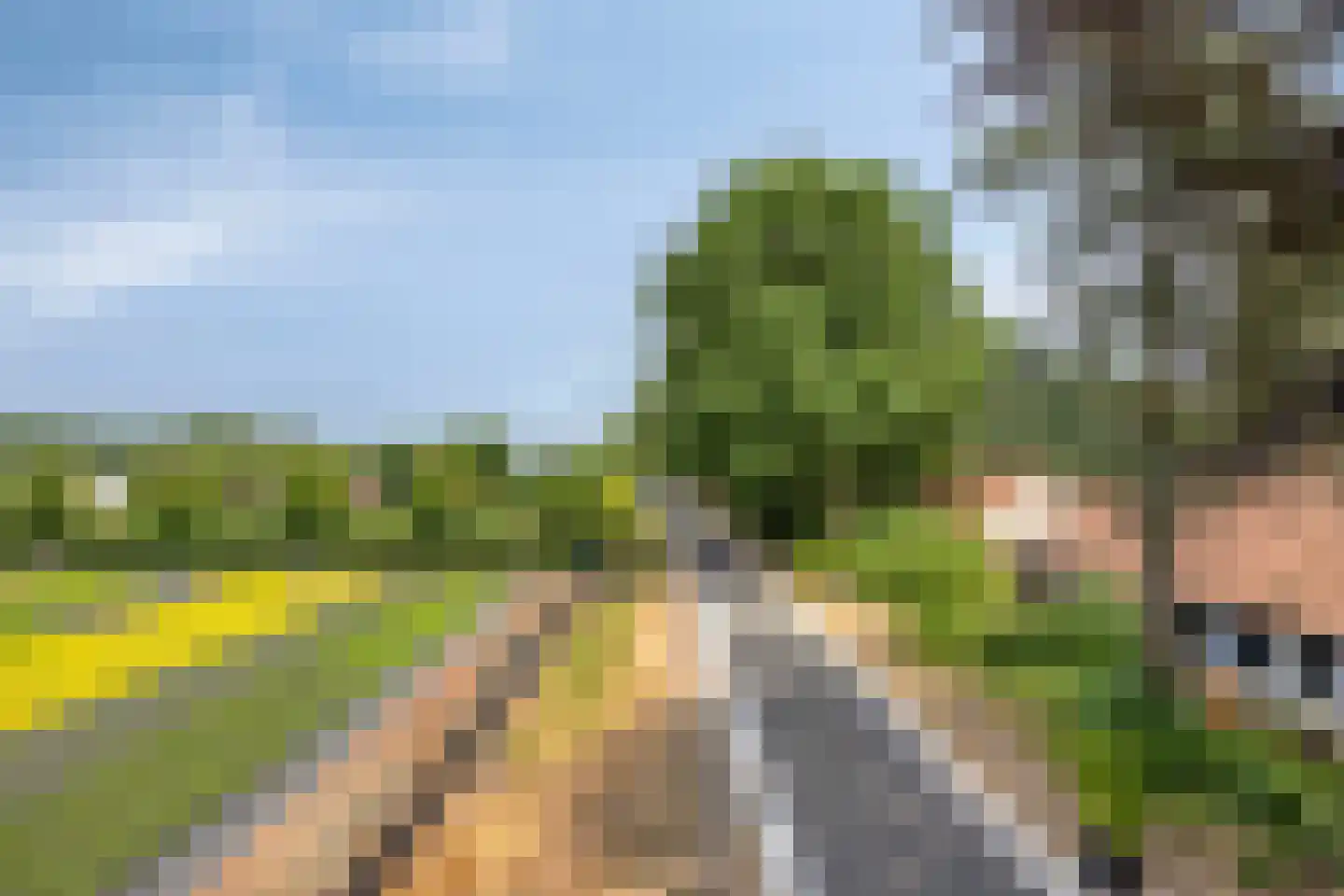 Wanroijseweg 6 Boekel thumbnail 73