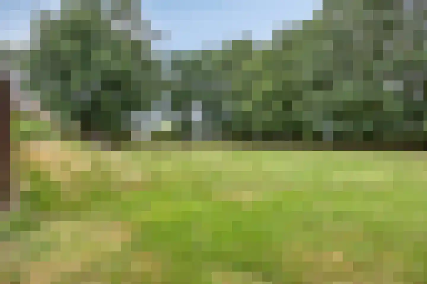 Wanroijseweg 6 Boekel thumbnail 75