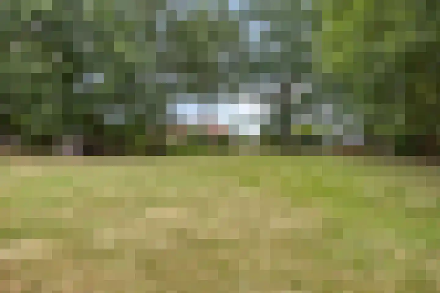 Wanroijseweg 6 Boekel thumbnail 76